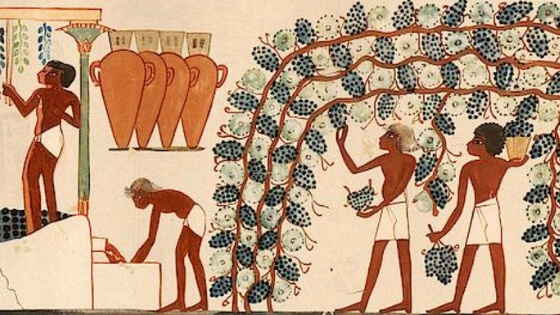 Antik Çağ'da Şarap Üretimi