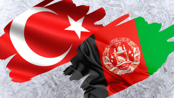 Türk Afgan Dostluk Antlaşması Maddeleri ve Önemi